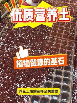 性价比这么高的配方土你不会还不知道吧? #营养土 #园艺生活 #花卉绿植 #养花小知识 #养花#羊粪肥